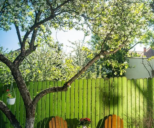 Casa Stella - Spacious * Kluż-Napoka